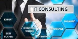 IT Consulting Services